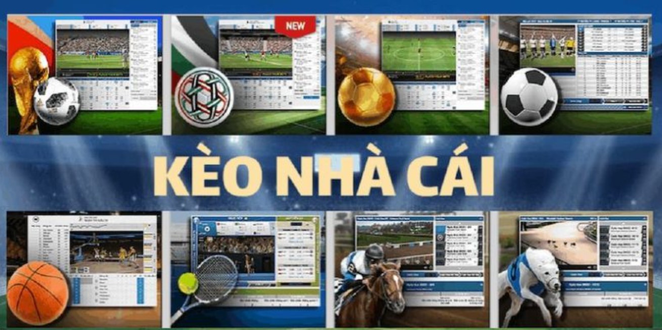 Giới thiệu kèo nhà cái 98Win - Những kèo cơ bản và phổ biến nhất