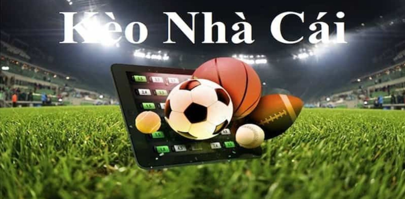 Giới thiệu kèo nhà cái 98Win - Nội dung cơ bản