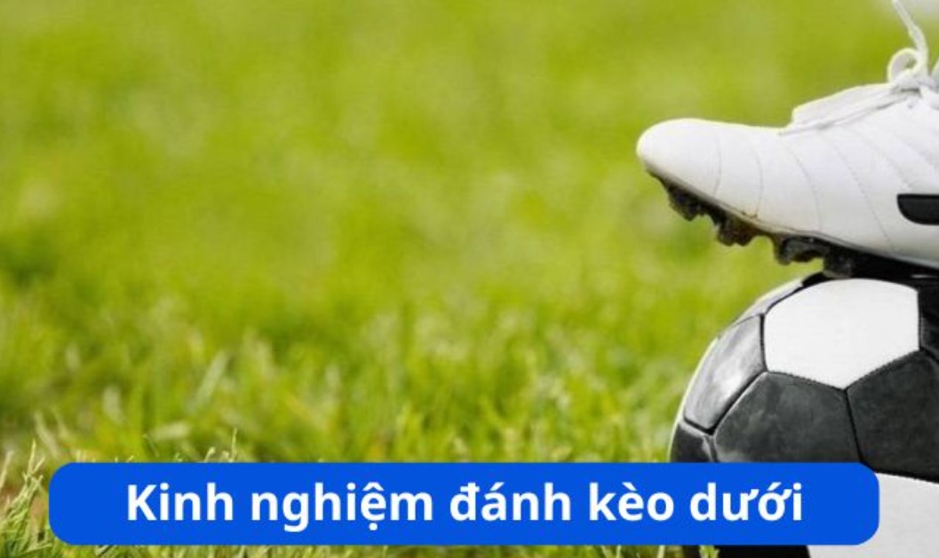 Khái niệm về kèo dưới trong cá cược là gì?