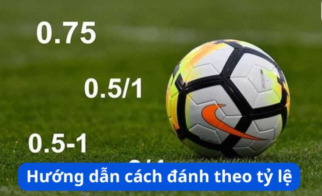Kinh nghiệm bắt kèo trên dưới chuẩn cho tân thủ