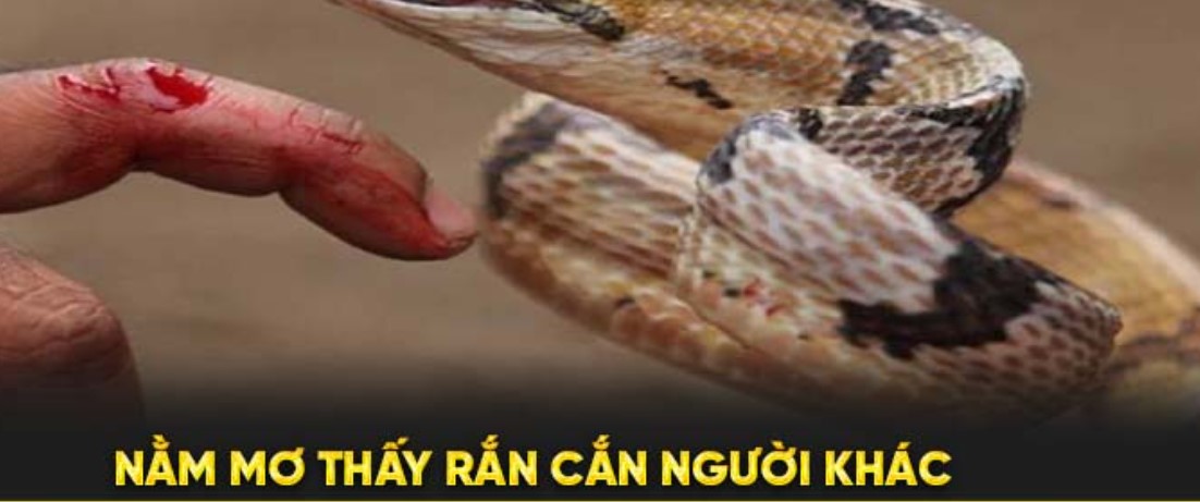 Một số giấc mơ thấy rắn khác